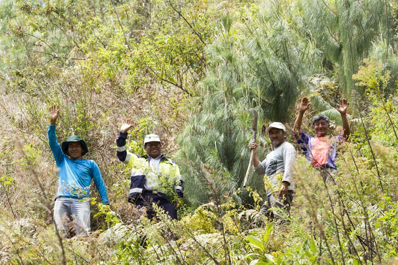 Peru Yaupi